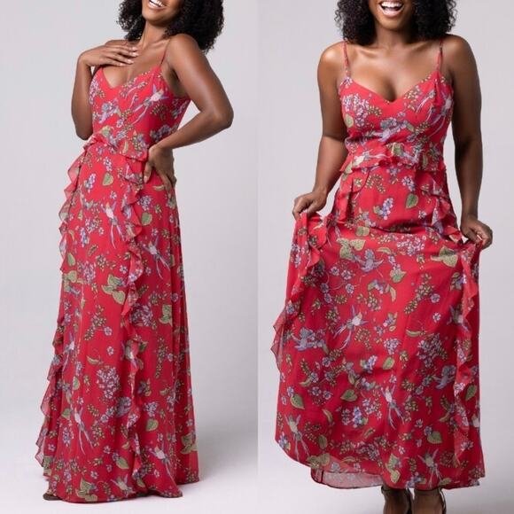 Nanette Lepore Sleeveless Maxi Dress Sz 6 Red Chiffon Floral Hummingbird Print - Picture 1 of 15